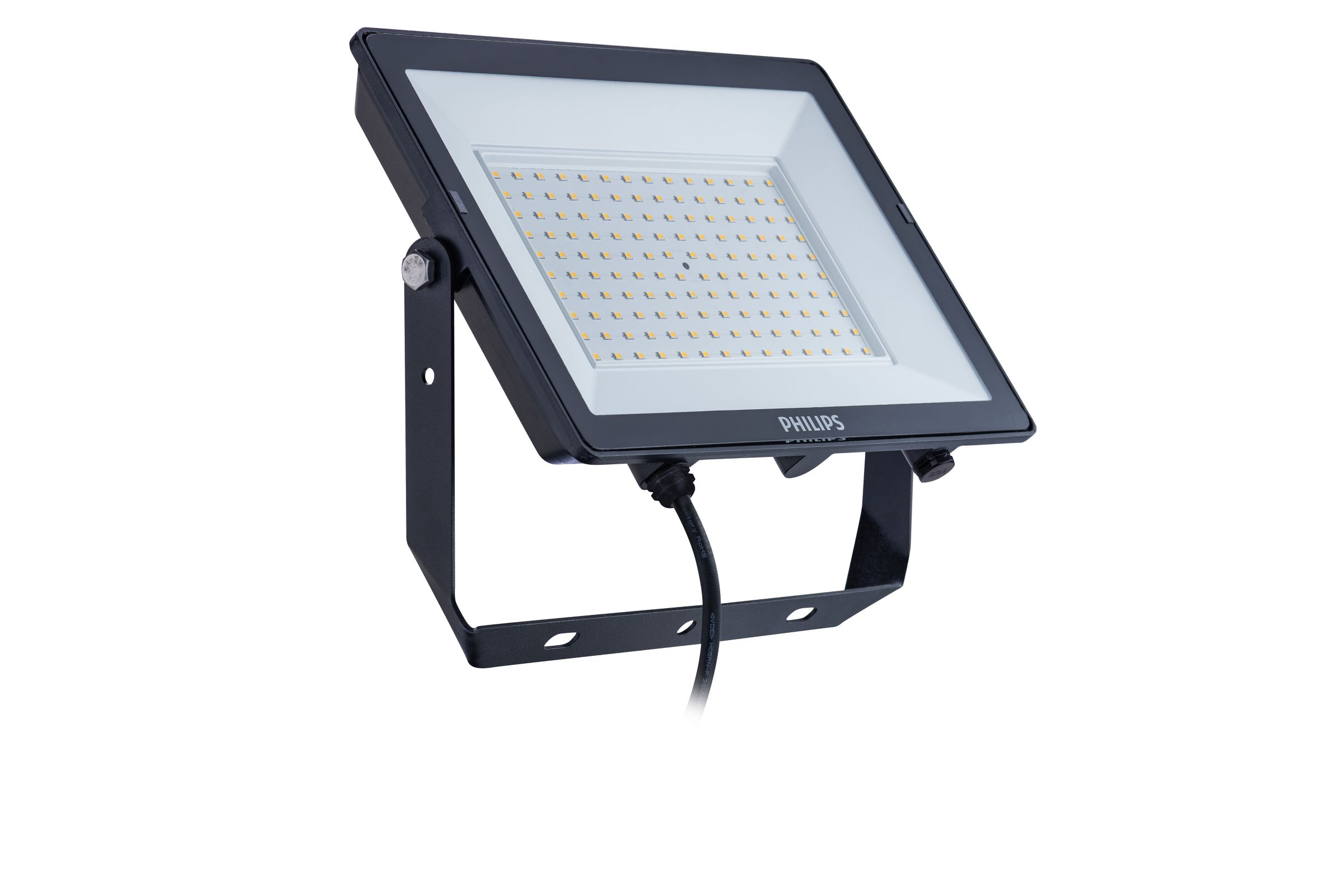 Philips 100w store flood light